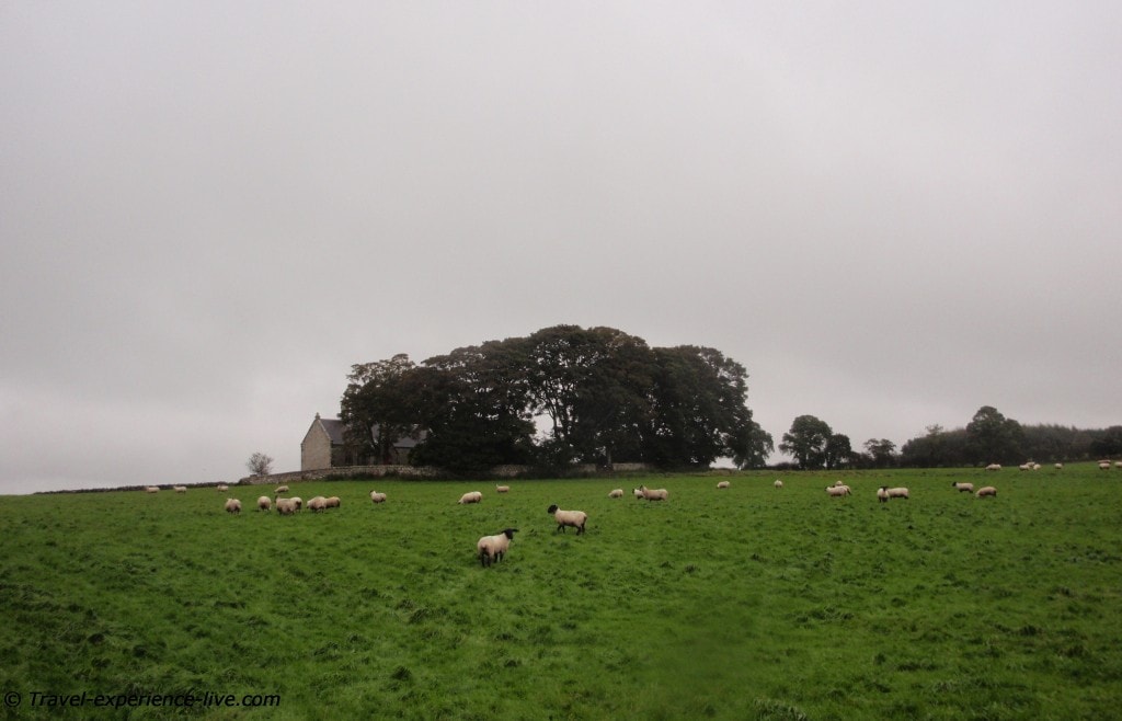 Old church in the middle of a field, northern England