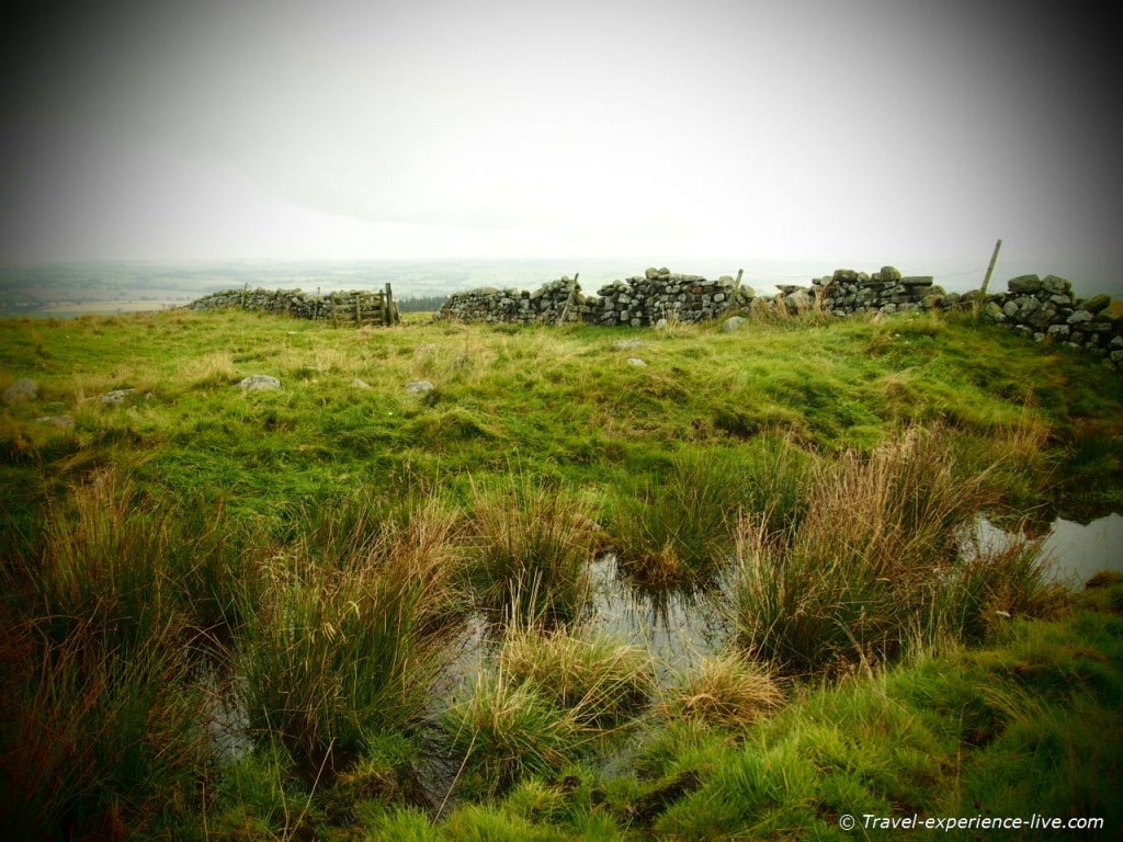Stone wall, puddles and fields in northern England