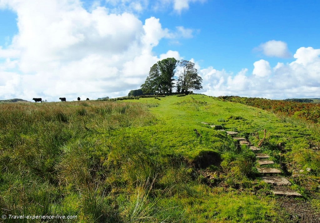 Typical northern English landscape, Hadrian's Wall Path