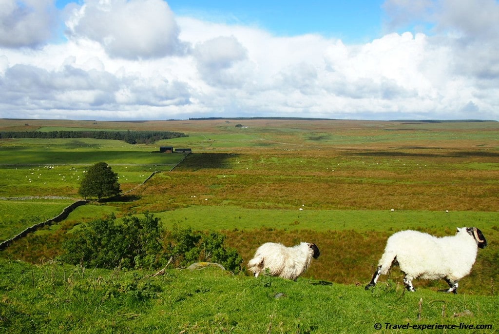 Typical northern English landscape