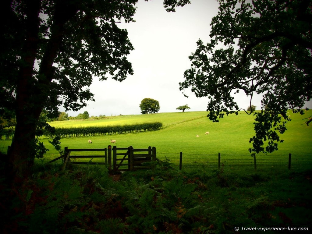 Fields on Hadrian's Wall Path