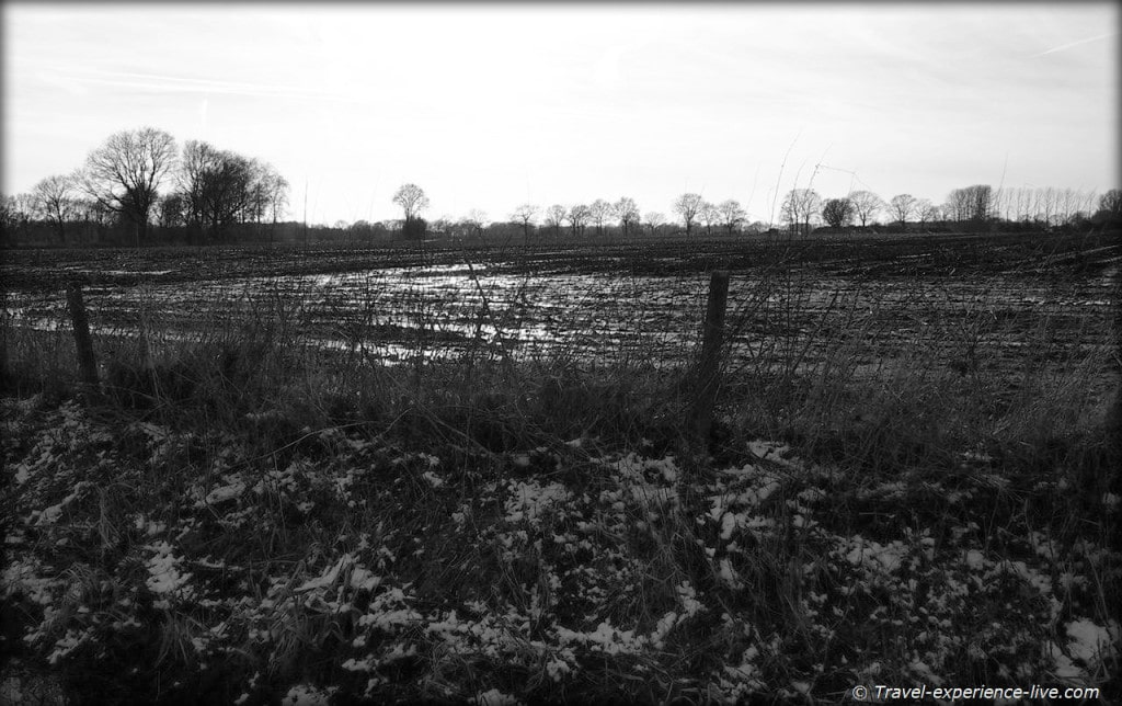 Field in Larum, Geel, Belgium.