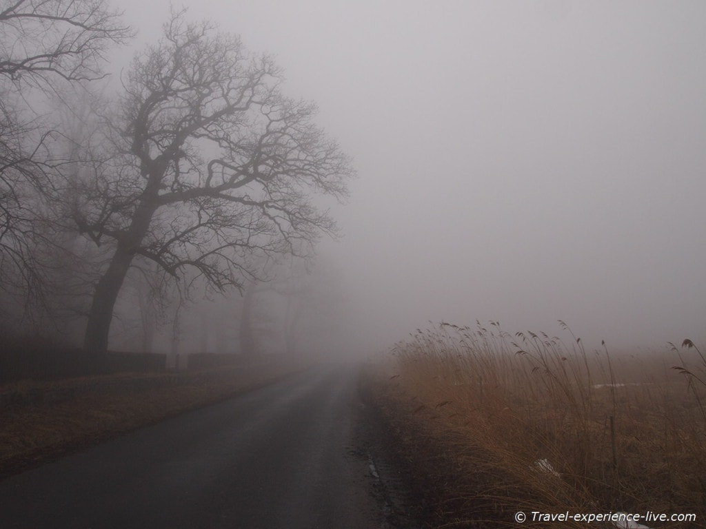 Mist in Sealand, Denmark.