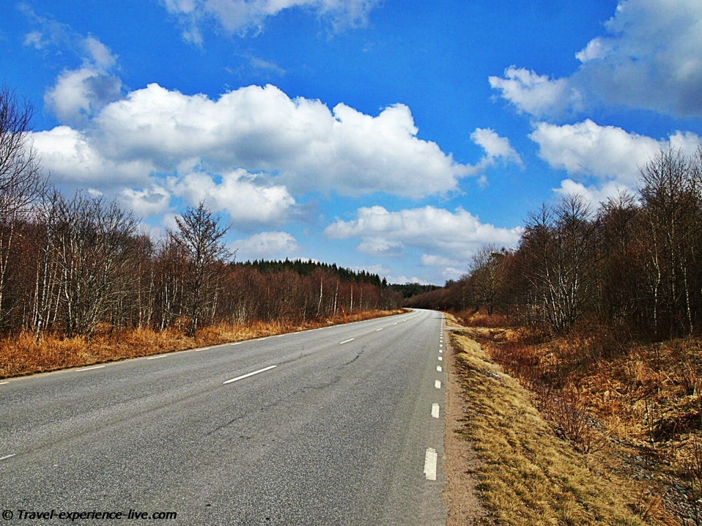 Cycling through dense forests in Sweden.