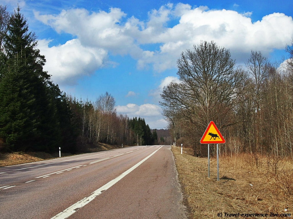Elk sign in Sweden.