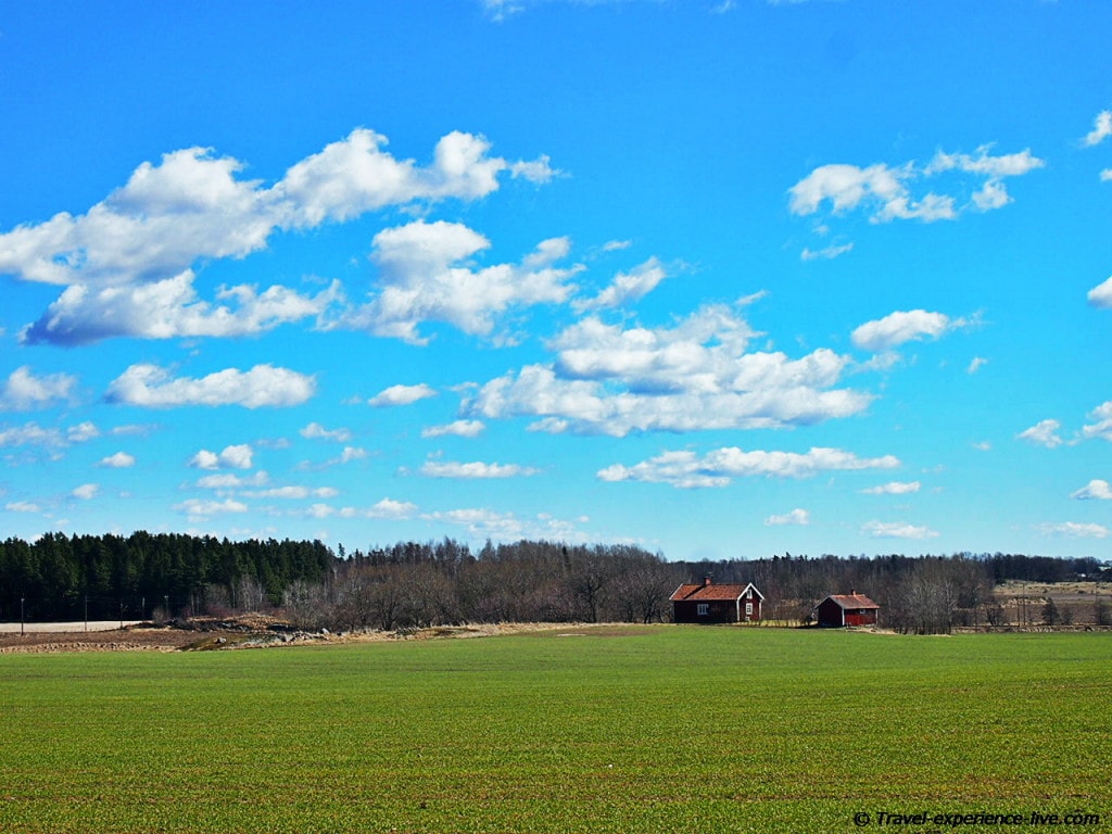 Green field in Sweden.