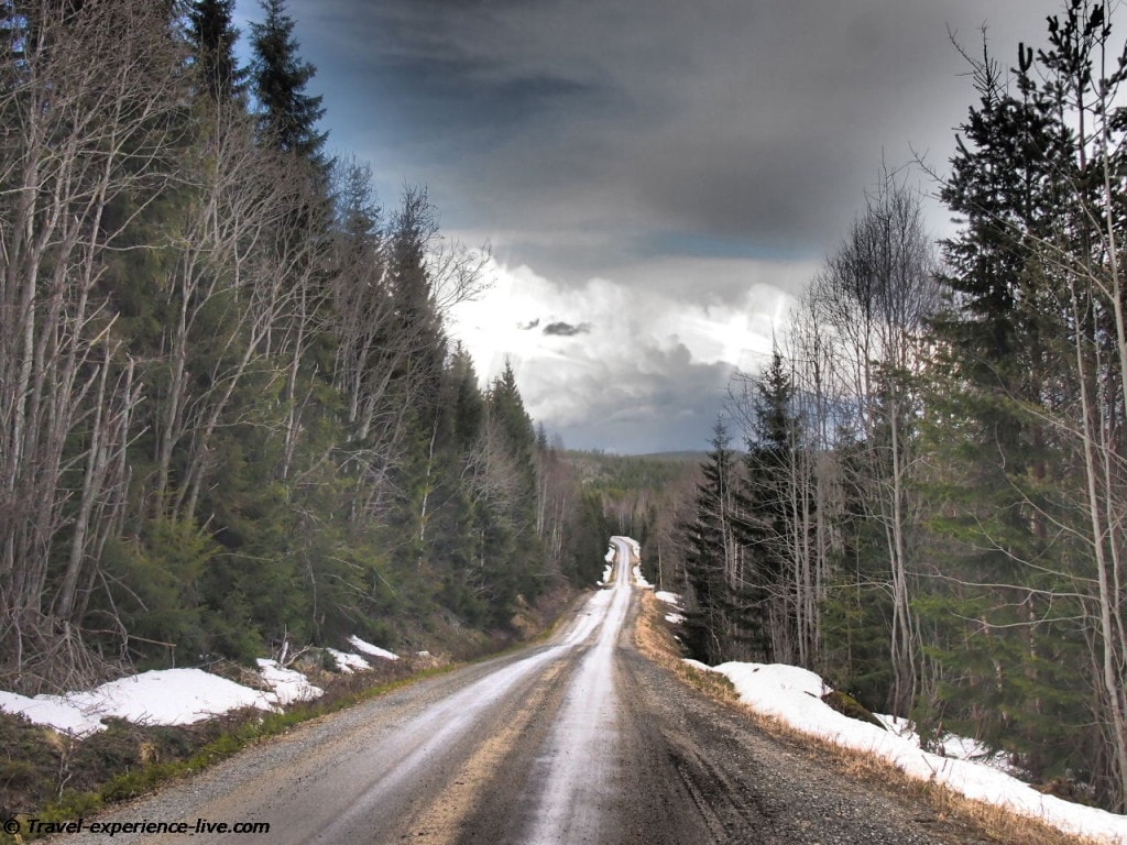 Road in the woods in Sweden.