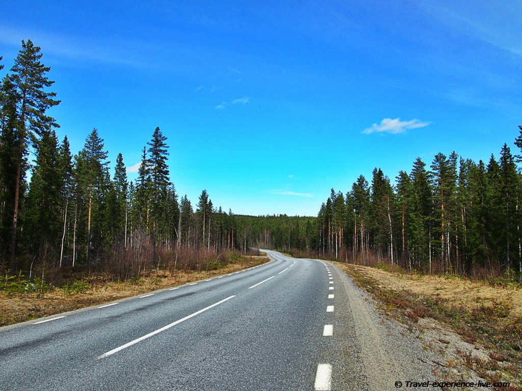 Road and forests in Sweden.