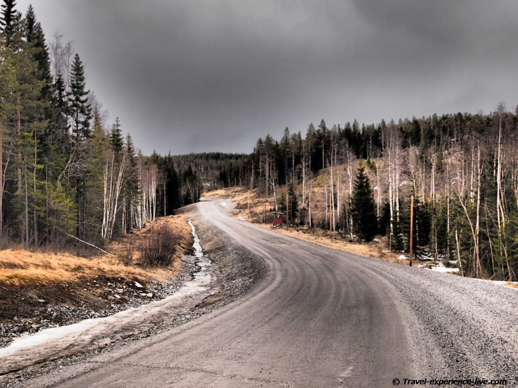 Gravel road in forest, Sweden.