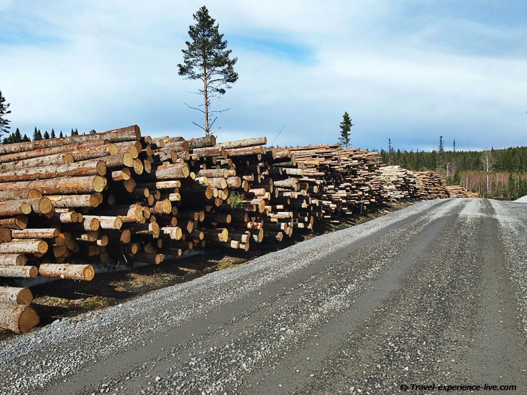 Logging in Sweden.