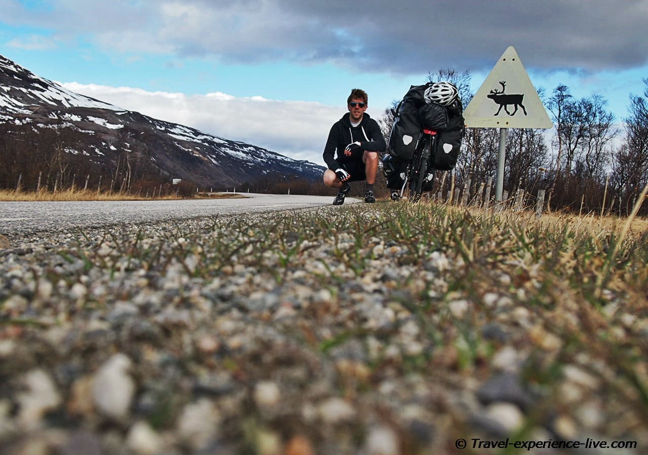 Reindeer sign in northern Norway.