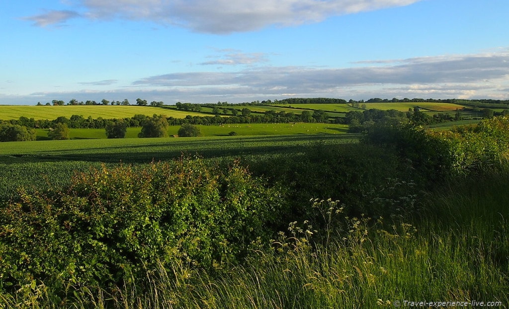 Gorgeous English countryside.