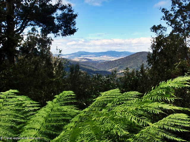 Landscape in Tasmania.