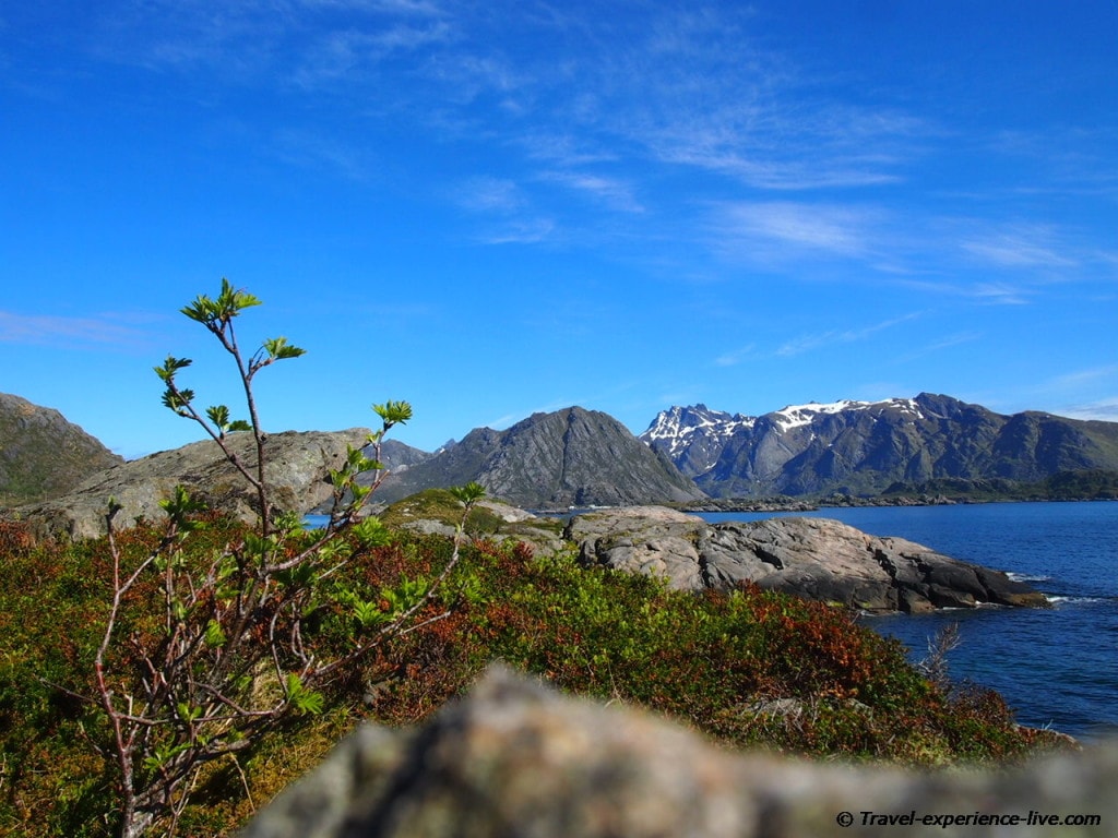 Landscape on the Lofoten in Norway.