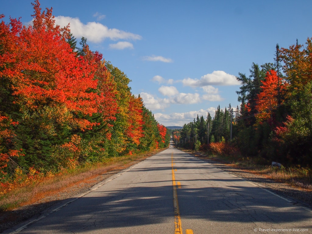 Fall foliage on Route 4a, NH