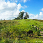 Stone Stairway, Northumberland National Park