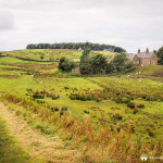 Picturesque Farmstead