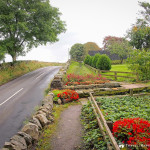 The Trail Leads through a Garden