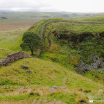 Robin Hood Tree and Hadrian's Wall