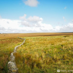 Stone wall stretching toward the horizon, Northumberland National Park