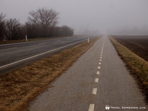 Dull and misty bike path in Denmark