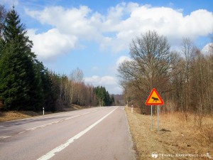 Watch out for moose in Sweden