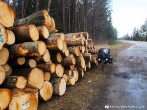 Sweden is log country