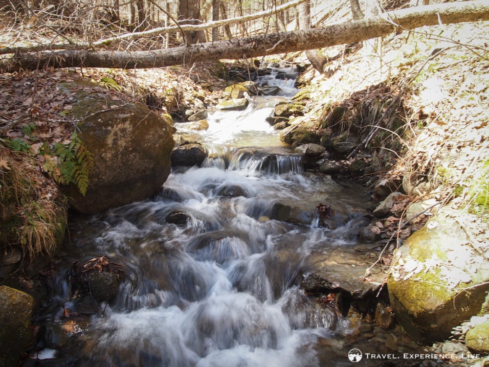 Stream on Bald Top Mountain, Vermont