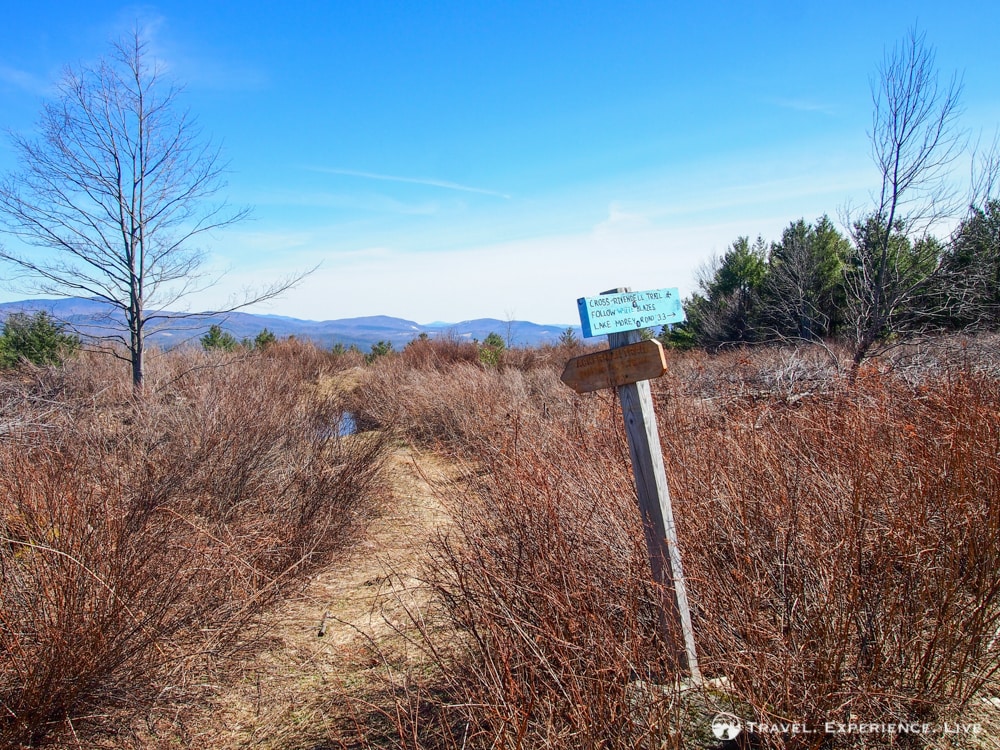 Trail Signs on Bald Top Mountain, Vermont