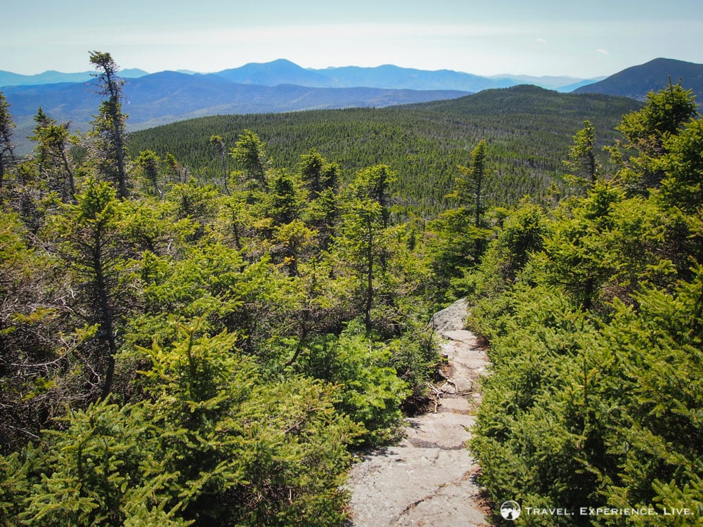 Trail between the summits of Mount Webster and Mount Jackson, New Hampshire