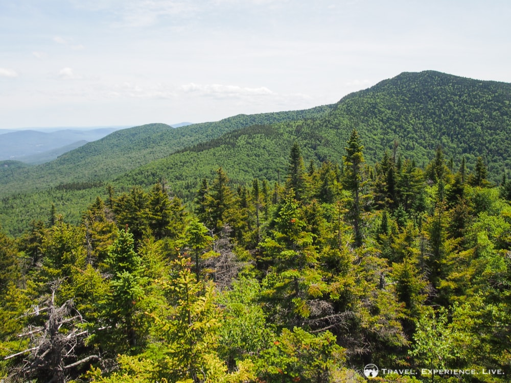 Hiking Camel's Hump: Mount Ethan Allen from Camel's Hump