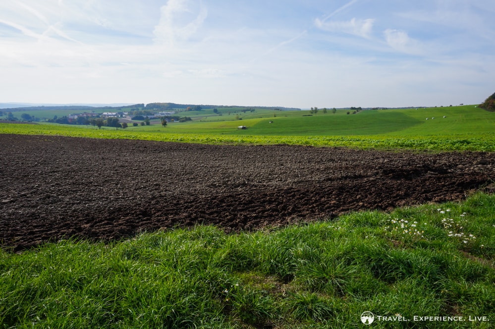 Farmlands in Luxembourg's Little Switzerland