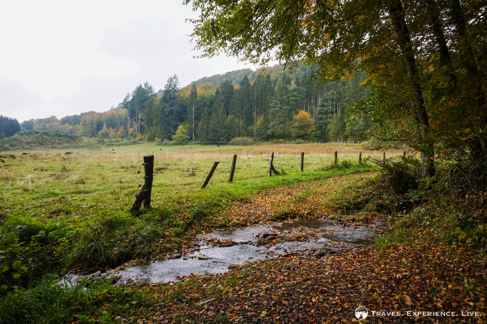 Fields in Luxembourg in fall