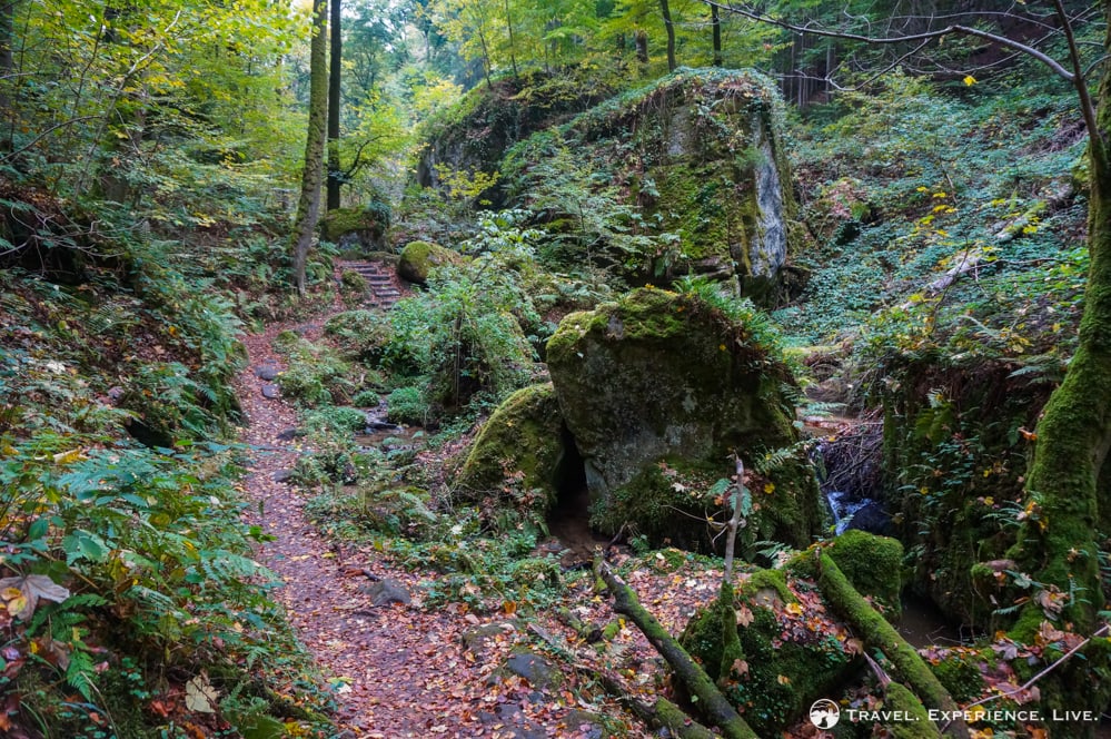 Hiking the Müllerthal Trail, Luxembourg