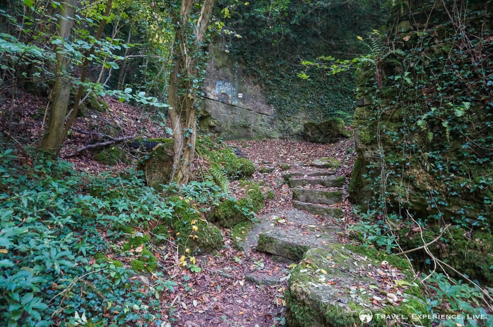 Hiking the Müllerthal Trail Route 1