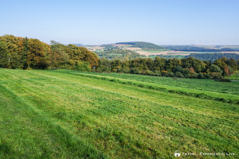 Meadow in Luxembourg's Little Switzerland