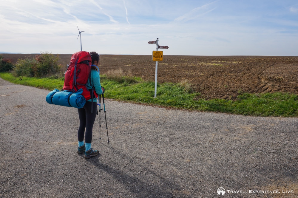 Signposts on the Müllerthal Trail