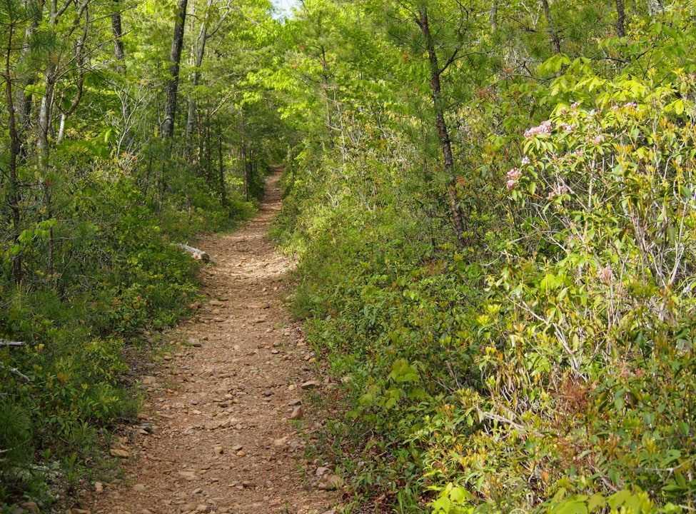 Paine Run Trail, Shenandoah National Park