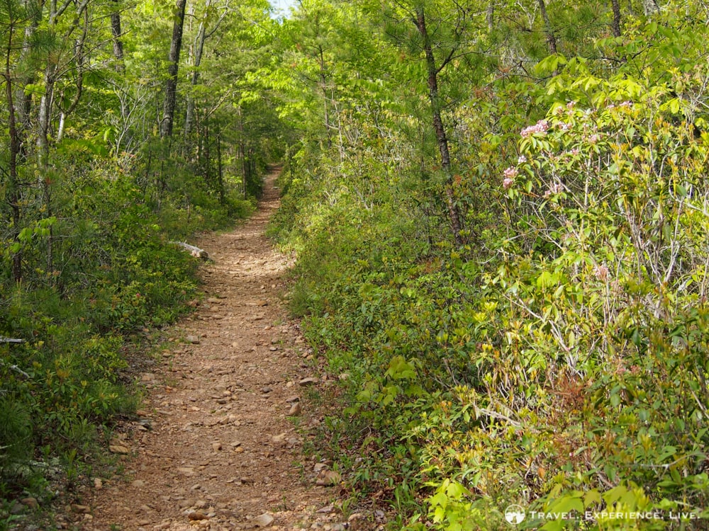 Paine Run Trail, Shenandoah National Park