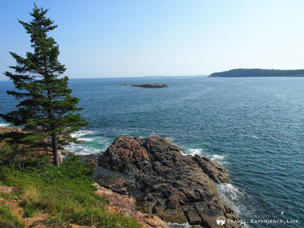 Rocky coast, Acadia NP, Maine
