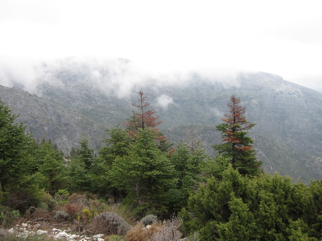 Sierra de las Nieves, National Parks in Spain