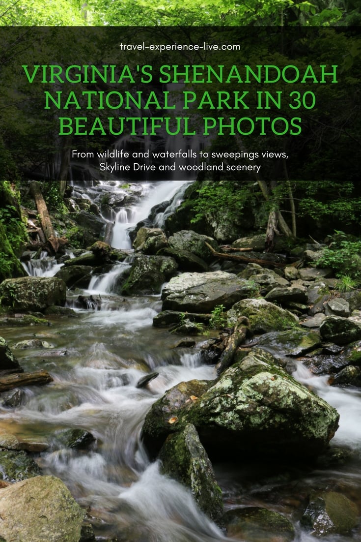 30 Beautiful Shenandoah National Park Photos - Pictures of Shenandoah National Park, Virginia