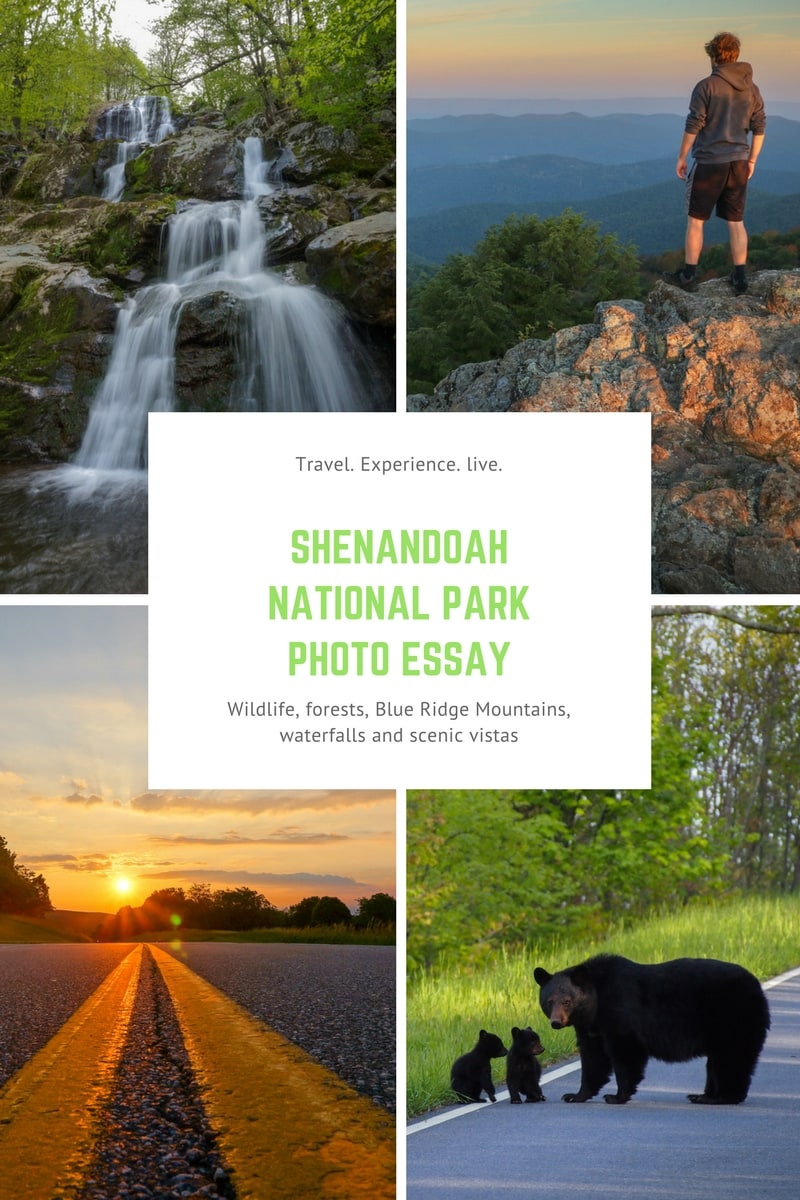 Virginia's Shenandoah National Park Photo Essay - Shenandoah National Park Pictures