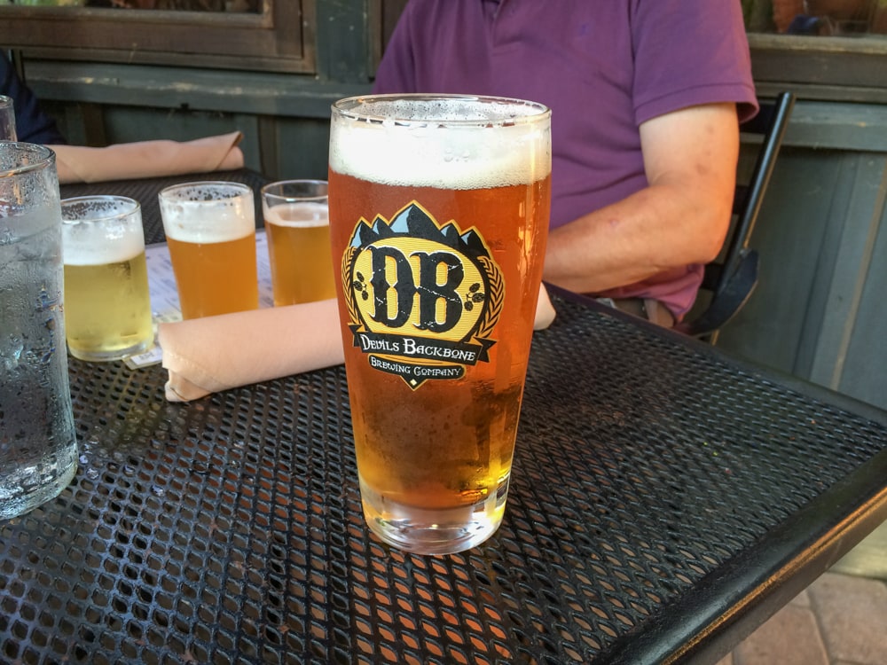New Devils Backbone Brewing Company Virginia Pint Beer Glass 