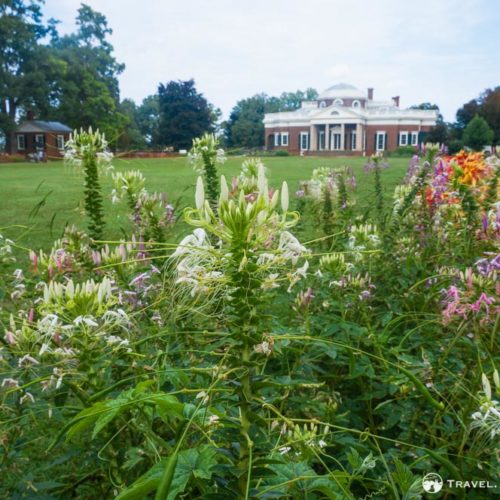 Flower garden at Monticello, Charlottesville