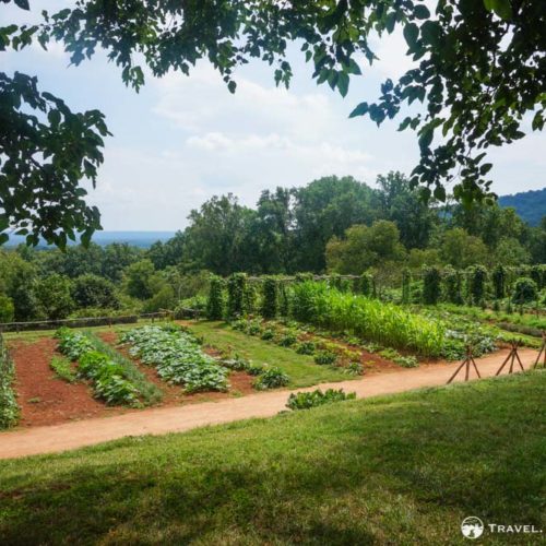 Vegetable garden at Monticello