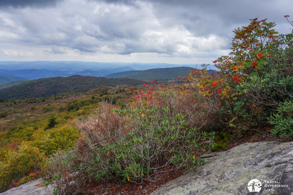 Early-fall colors, Grayson Highlands