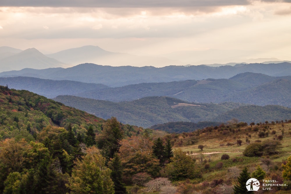 Evening light in Grayson Highlands, Virginia