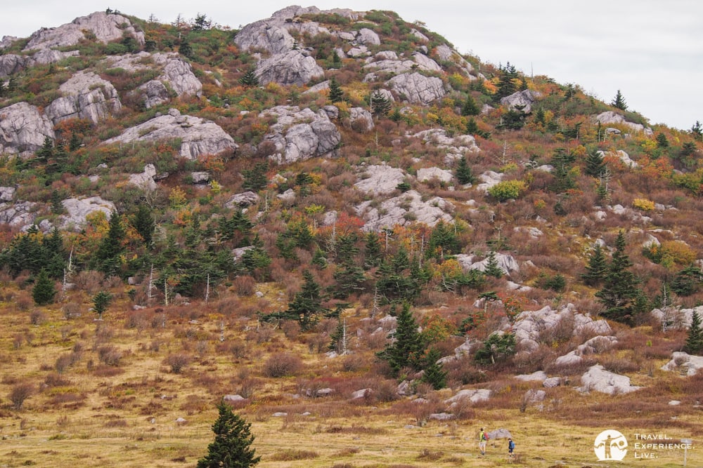 Father and son hiking in Grayson Highlands, Virginia