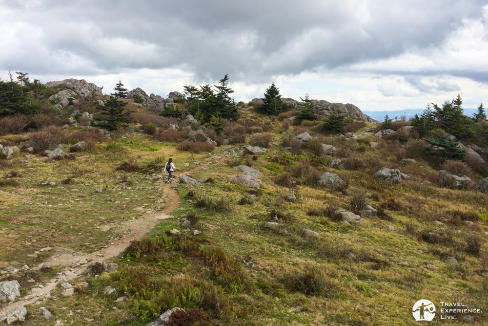 Hiking trail in Mount Rogers National Recreation Area